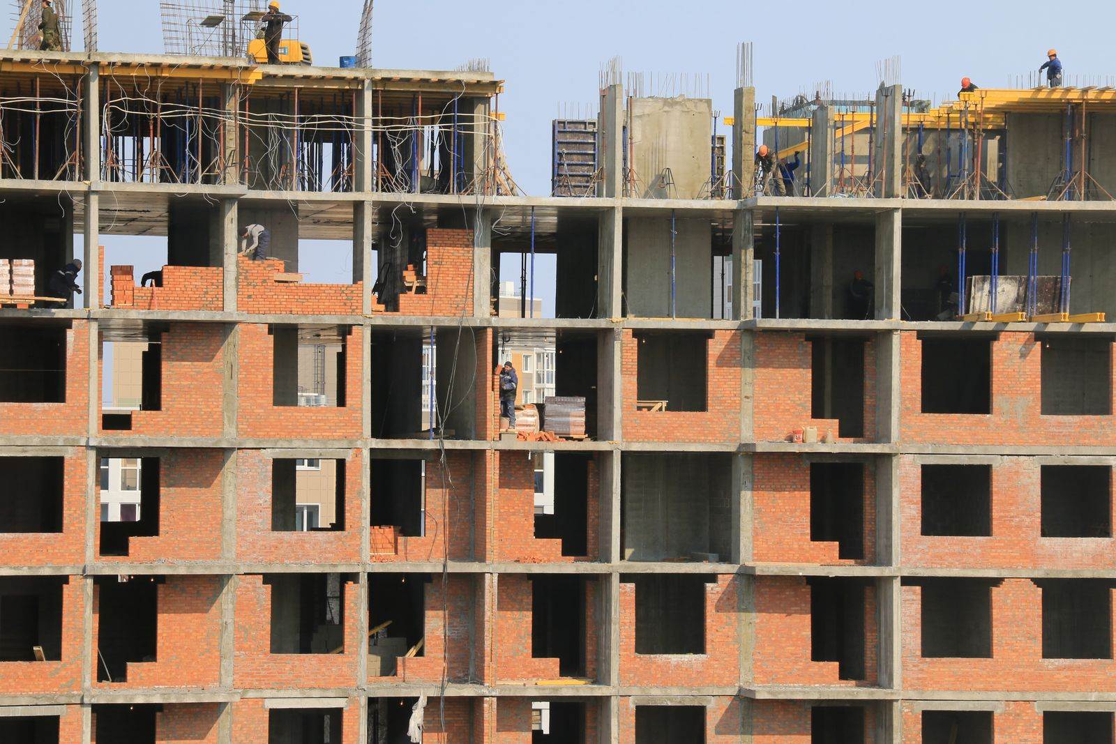 Construction & Project Services